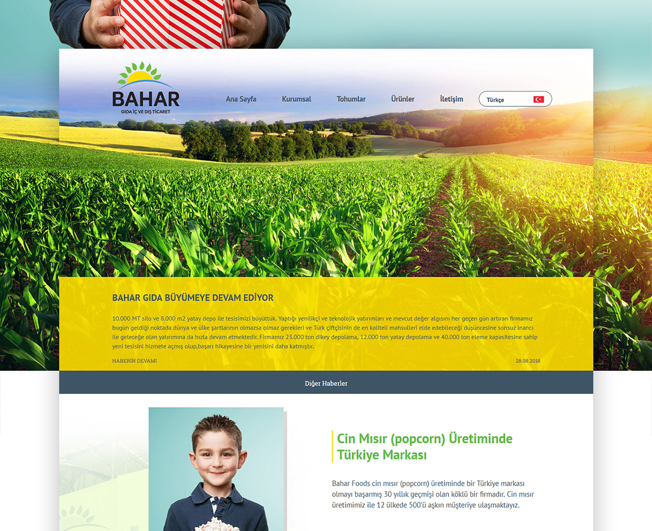 adana bahar gıda web sitesi tasarımı